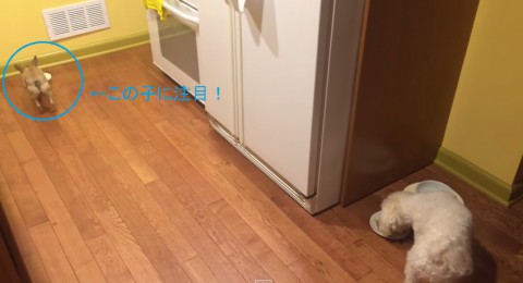bonnie-hates-to-eat-alone02
